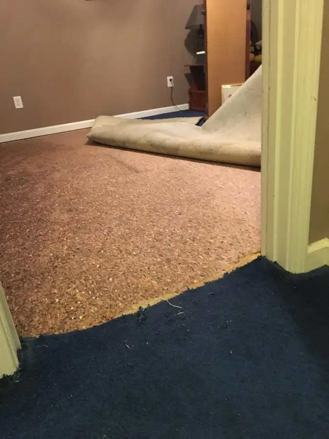 Carpet pad removal revealing water damage during Drying & Dehumidification in Frederickson