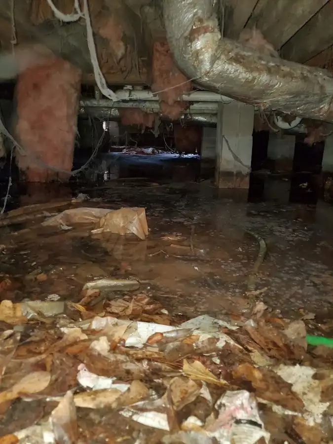 Crawl space flood assessment for Leak Detection & Repair in Frederickson